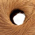 8713.jpg