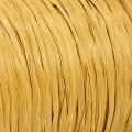 ispie ginger D42