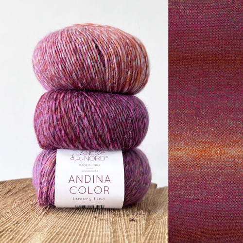 Włóczka Andina Color 005