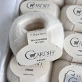 Cardiff Prime 177 Neve