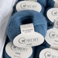 Cardiff Prime 121 Hoshi
