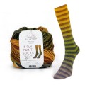 Włóczka 6 Ply Paint Socks 002 na parę skarpet 6-nitkowa