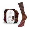 Włóczka 6 Ply Paint Socks 006 na parę skarpet 6-nitkowa 150g