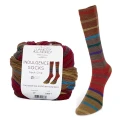Włóczka Indulgence Socks 007