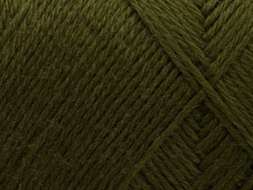 Włóczka Arwetta 148 Deep Olive