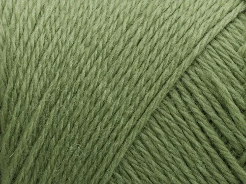 Włóczka Arwetta 243 Basswood Green