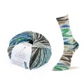 Summer Sock Fancy 130 Laines du nord