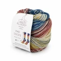 Włóczka Mad Socks 05 - 100g/420m ( Laines du Nord )