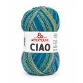Włóczka Ciao 893 - 100g/400m