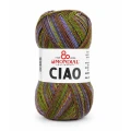 Włóczka Ciao 891 - 100g/400m