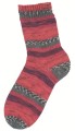 step-harlekin-256_300dpi.jpg