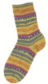 step-harlekin-259_300dpi.jpg